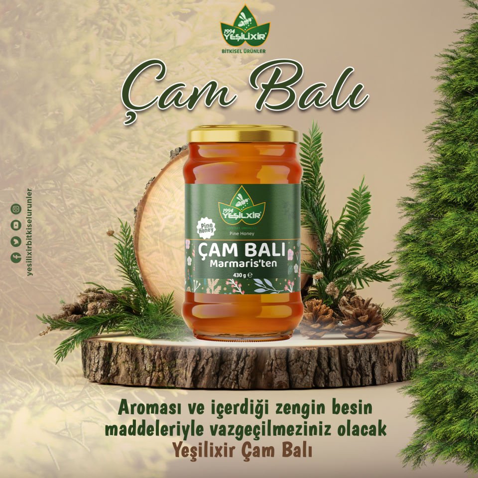 Yeşilixir Süzme Çam Balı 450 Gr